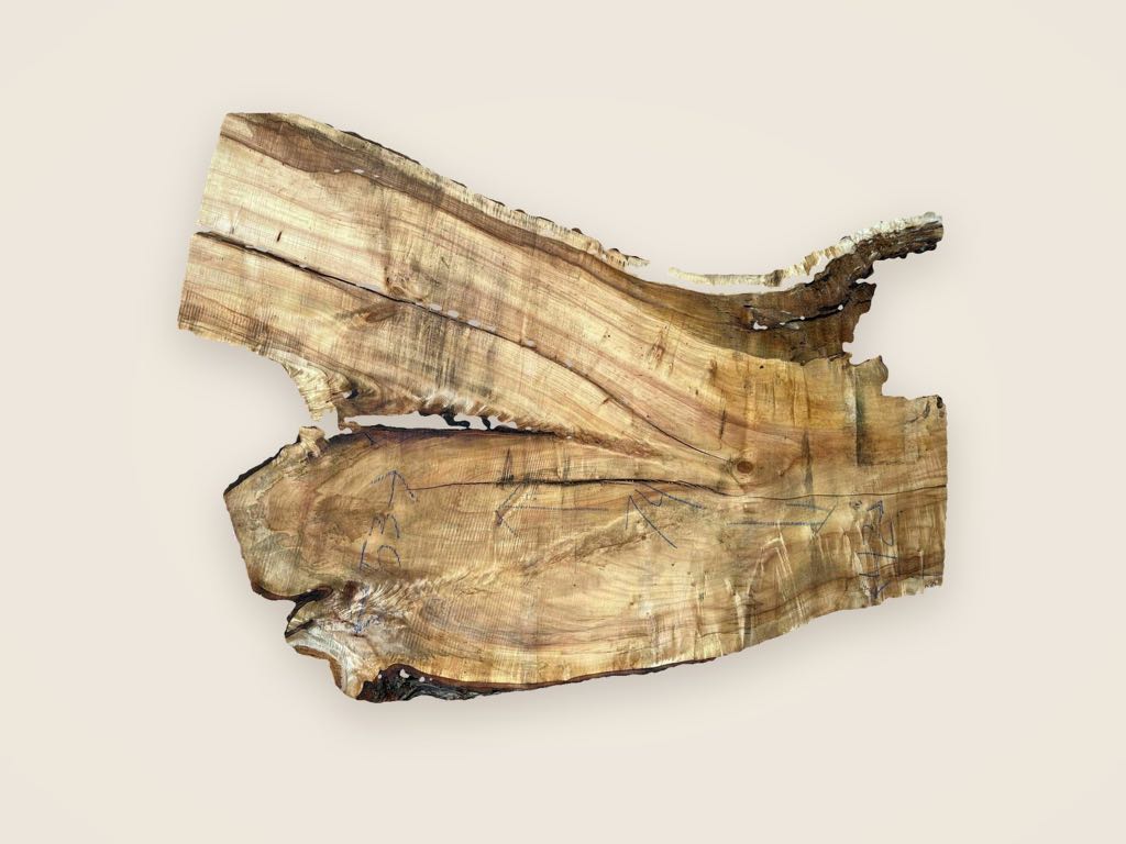 Slab SM 23, spalted silver maple